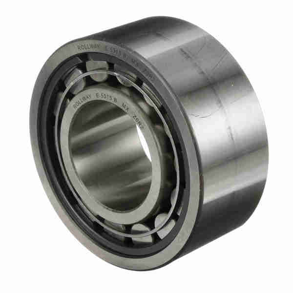 Rollway Bearing Cylindrical Bearing – Caged Roller - Straight Bore - Unsealed, E-5315-B E5315B